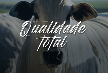 LEILÃO VIRTUAL QUALIDADE TOTAL